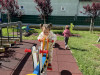 Messenger_creation_4109E262-CF61-4528-86A5-012208B3DCCC