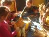 IMG-08c51e9508a80d2437721d6c095adff0-V