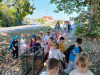 IMG-096ed66c4633b15ee72f7f6124dc5bce-V