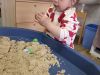 IMG-17eac2bd85d9547250c8189a57884ba5-V