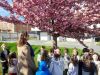 IMG-04598b371f21c3b436c7185aa134ec35-V