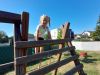 IMG-2d9c1fb020286e729a9e02d6347dd098-V