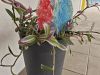 IMG_20260402_122150