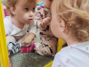 IMG-4067b347ed8673416cfecf62e246d910-V