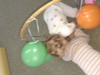 IMG-7e921a195c70dfdcf913090f1bab3e6d-V