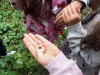 IMG-56de270c9faf20b94d6f45e027e2fc14-V