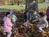 IMG-173641d92c40131e524ac41335362ae6-V